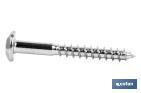 Inviolable screw Torx-30 - Cofan