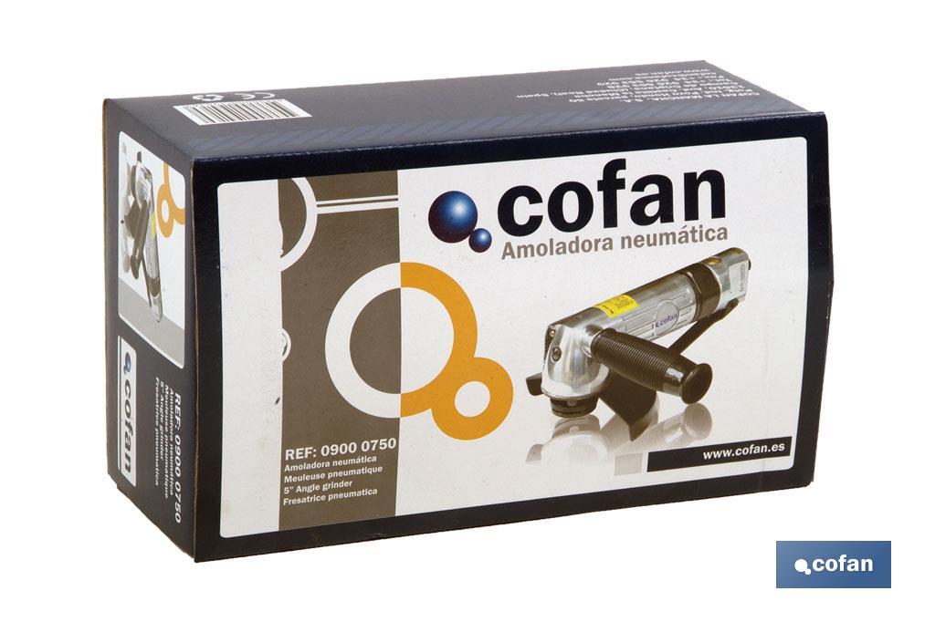 Angle grinder useful for cutting or polishing disks - Cofan