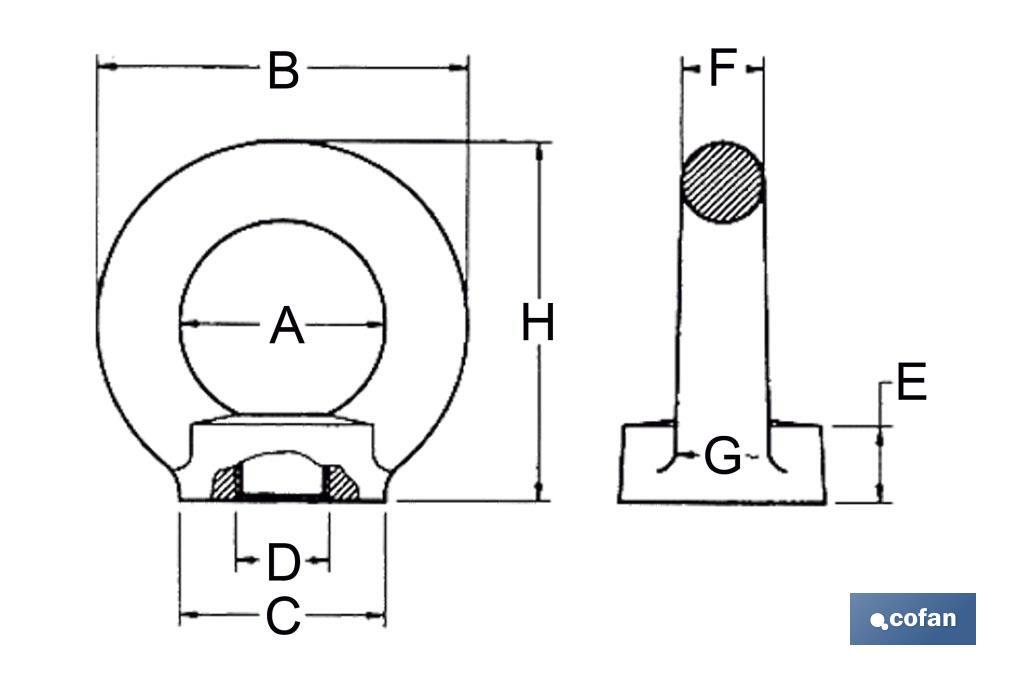 Stainless steel A2 female elevation ring DIN-582 - Cofan