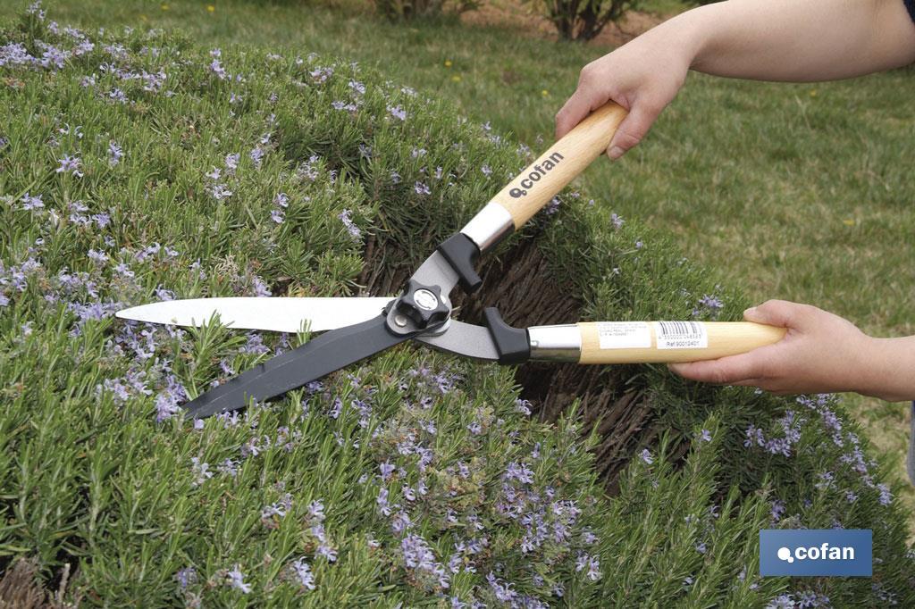 Cizalla corta setos profesional | Mango ergonómico de madera | Para jardinería y arbusto - Cofan