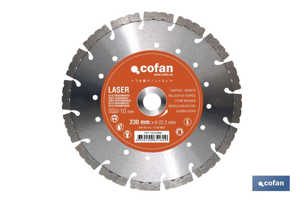 High performance segmented diamond disc - Cofan