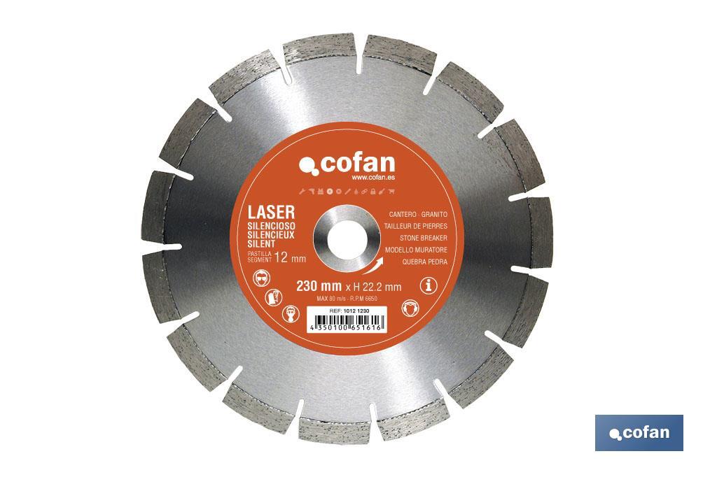 Silent segmented diamond disc - Cofan