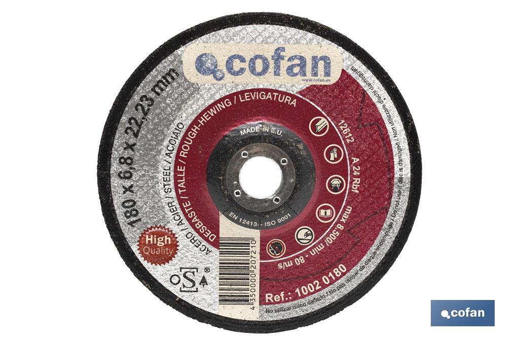 Professional line grinding discs - Cofan