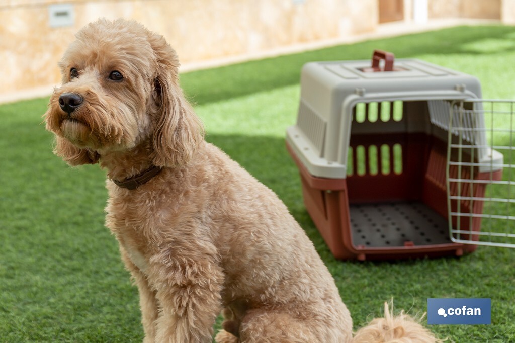 Transportadora para Animais de Estimação Modelo | Medidas: 58 x 37 x 35 cm - Cofan
