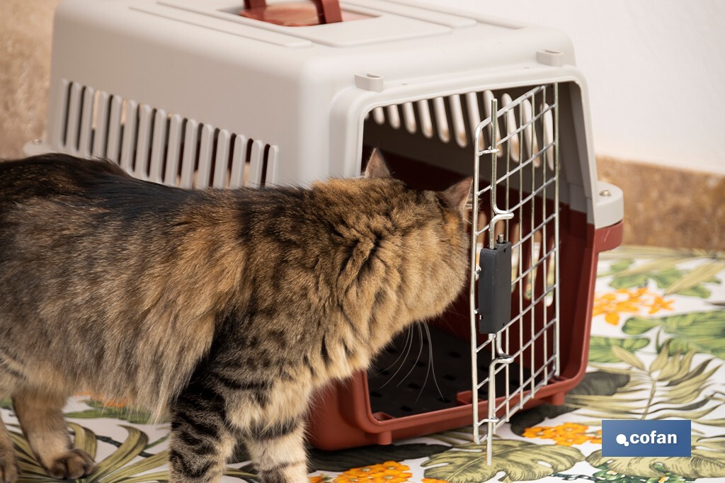 Transportadora para Animais de Estimação Modelo | Medidas: 58 x 37 x 35 cm - Cofan
