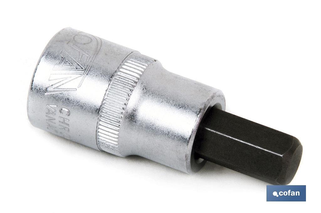 3/8" screwdriver bit socket | High-quality chrome-vanadium steel | With Allen tip of H12 - Cofan