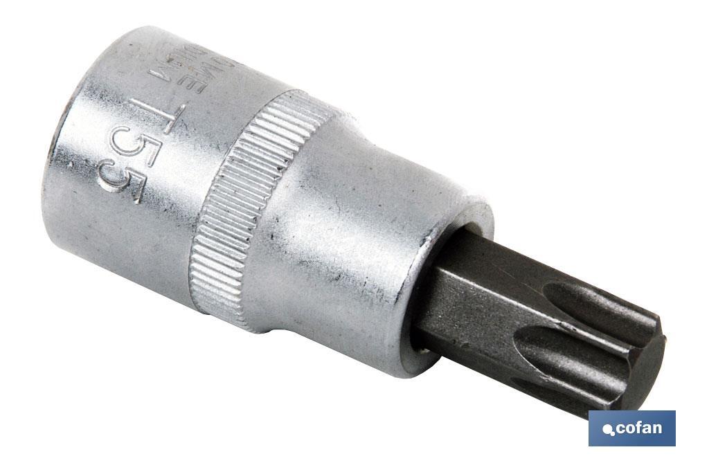 1/2" screwdriver bit socket | High-quality chrome-vanadium steel | With Torx 55 tip - Cofan