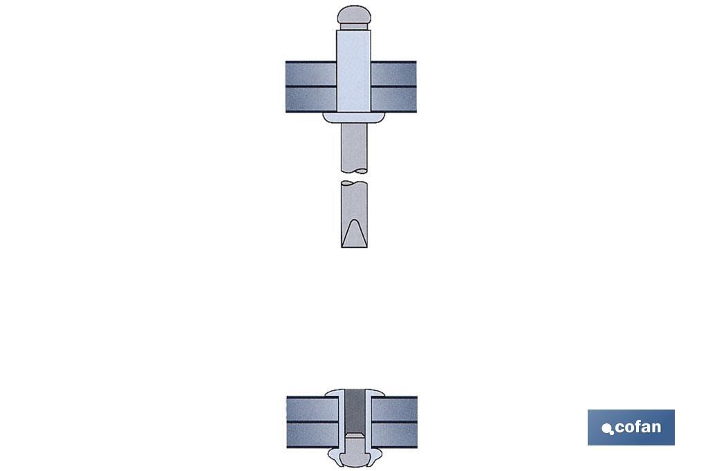 Standard rivets, dome head, standard blister - Cofan