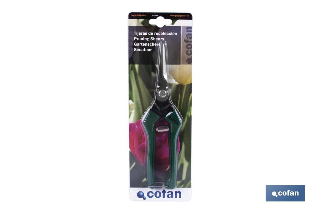 Tijeras de recolección con punta recta y longitud total de 205 mm | Especiales para jardinería - Cofan