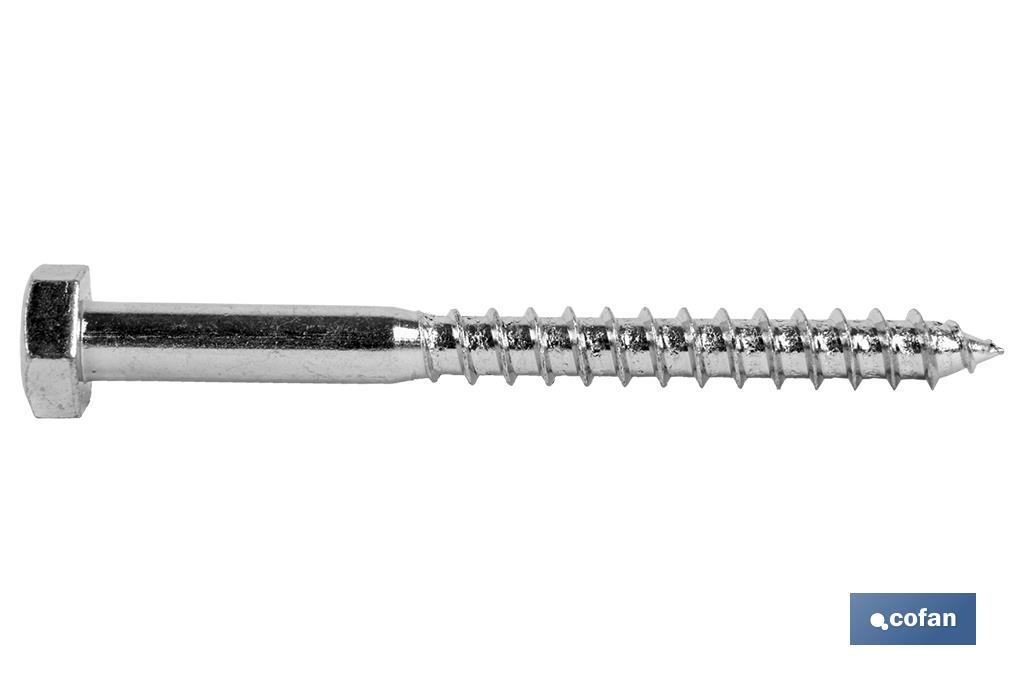 Tap bolt DIN-571 Standard blister - Cofan