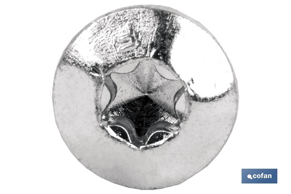 Torx-Sicherhetisschraube 30. - Cofan