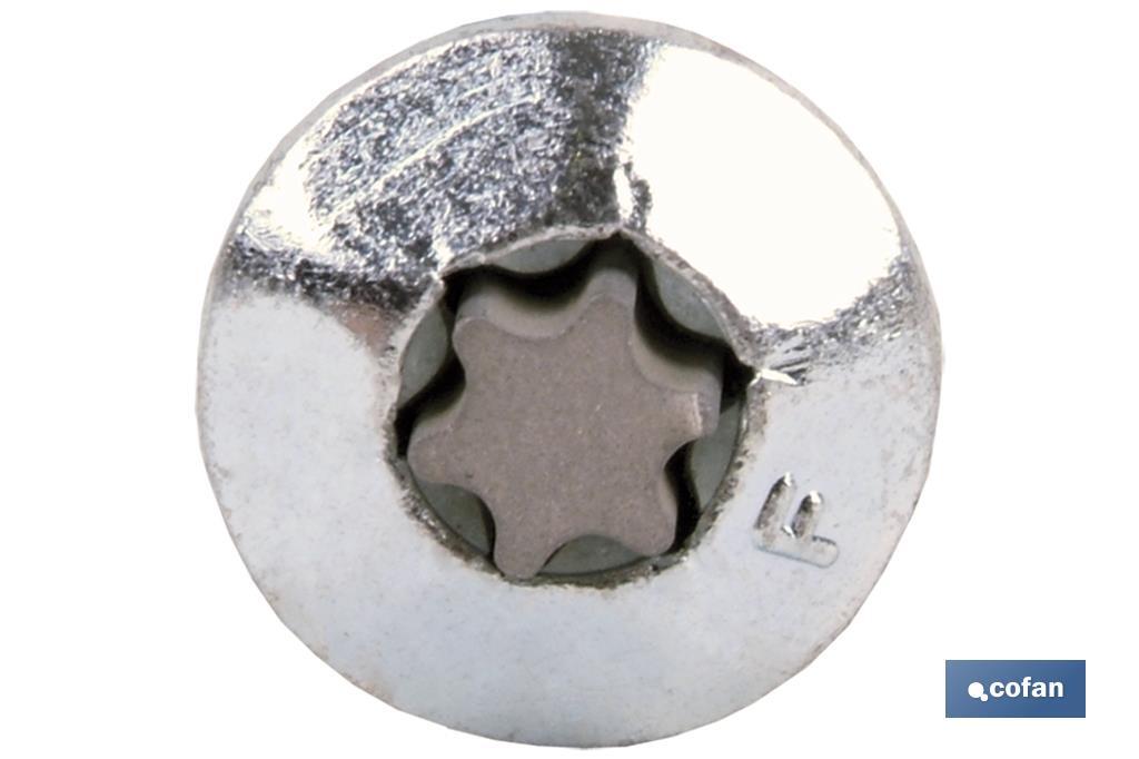 Inviolable screw Torx-30 - Cofan