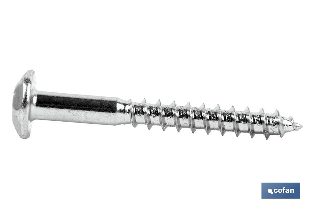 Inviolable screw Torx-30 - Cofan