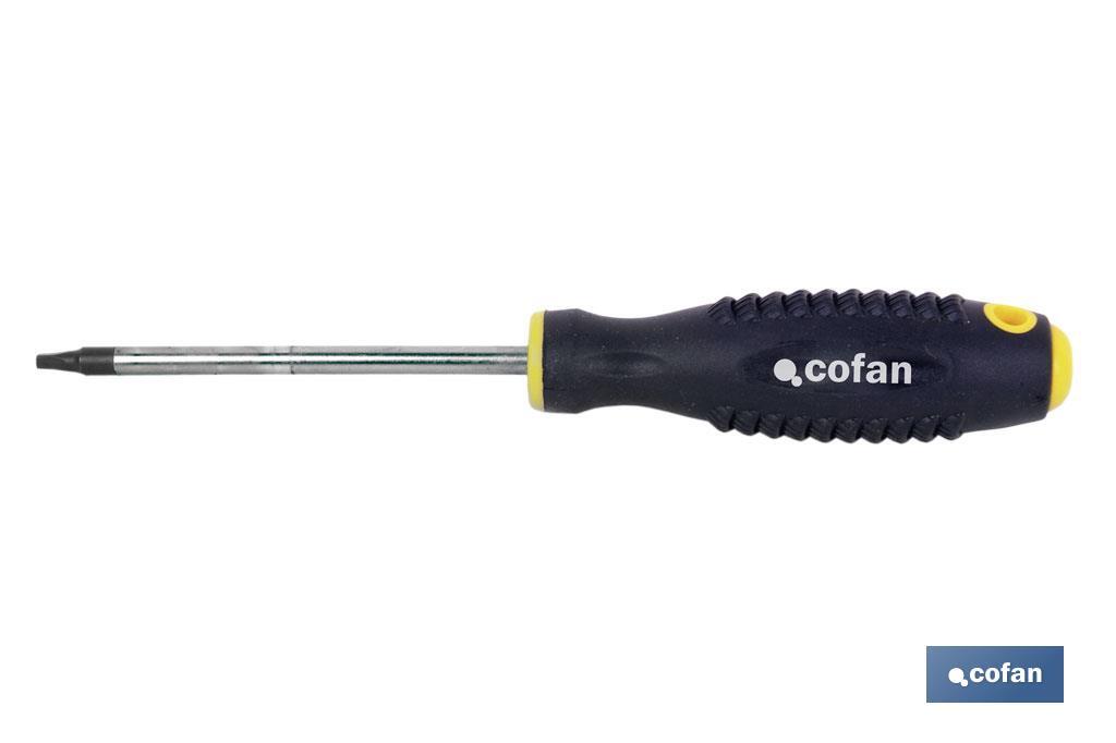 Torx com furo - Cofan