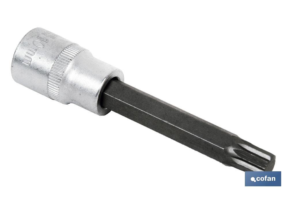 1/2" screwdriver bit socket | High-quality chrome-vanadium steel | With long Torx 55 tip - Cofan