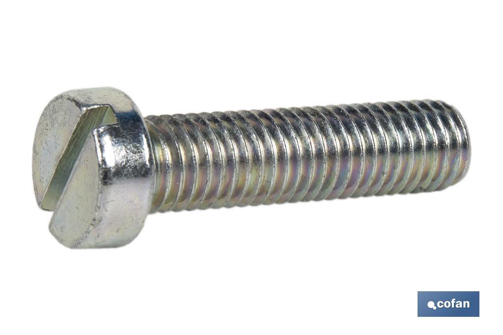 Screw, DIN 84, zinc plated - Cofan