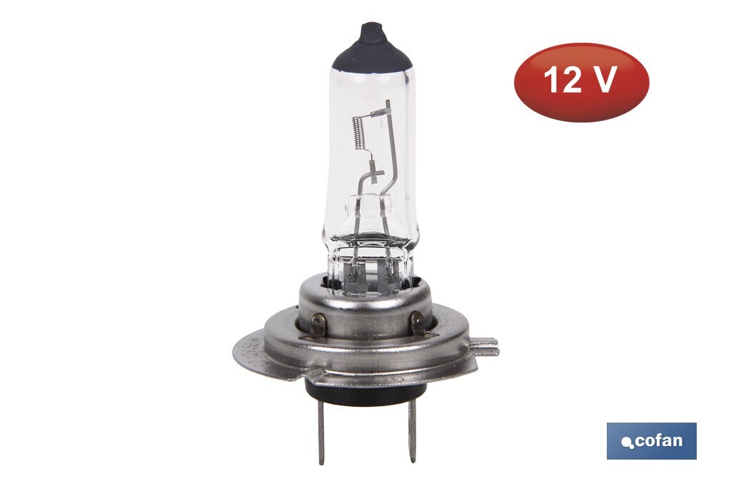 Lámpara halógena H7 (Px26d) 12 V 55 W | Pack: 10 unidades - Cofan
