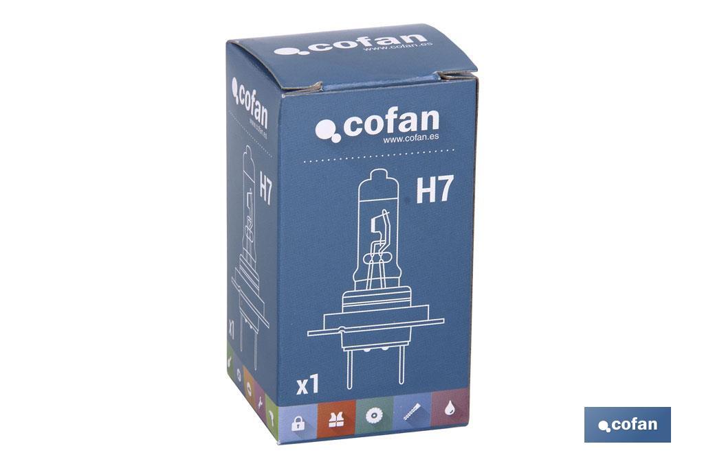 H-7 - Cofan