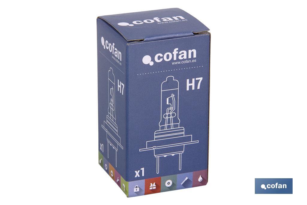 H-7 - Cofan