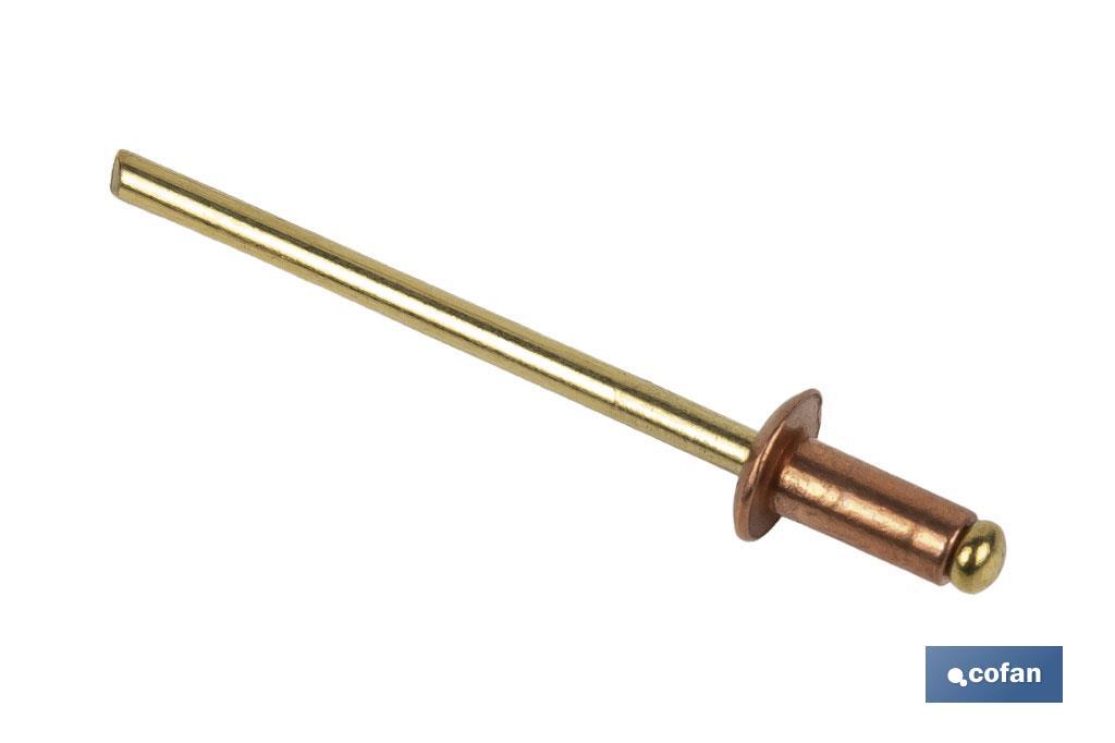 Copper rivets - Bronze - Cofan