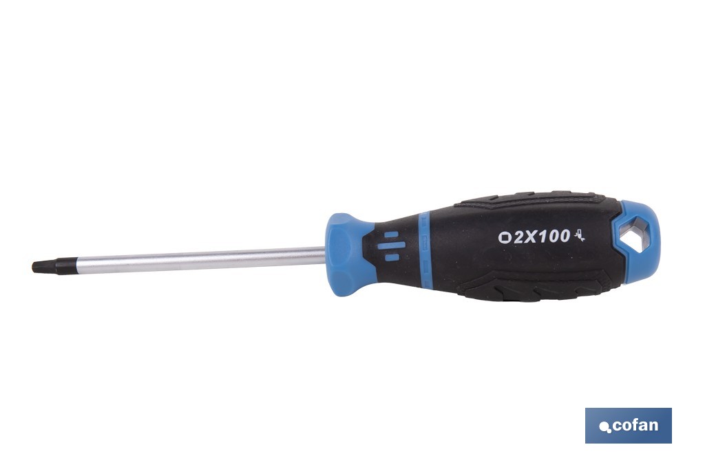 DESTORNILLADOR GRIPFORCE CR-V-MO R2 X 100