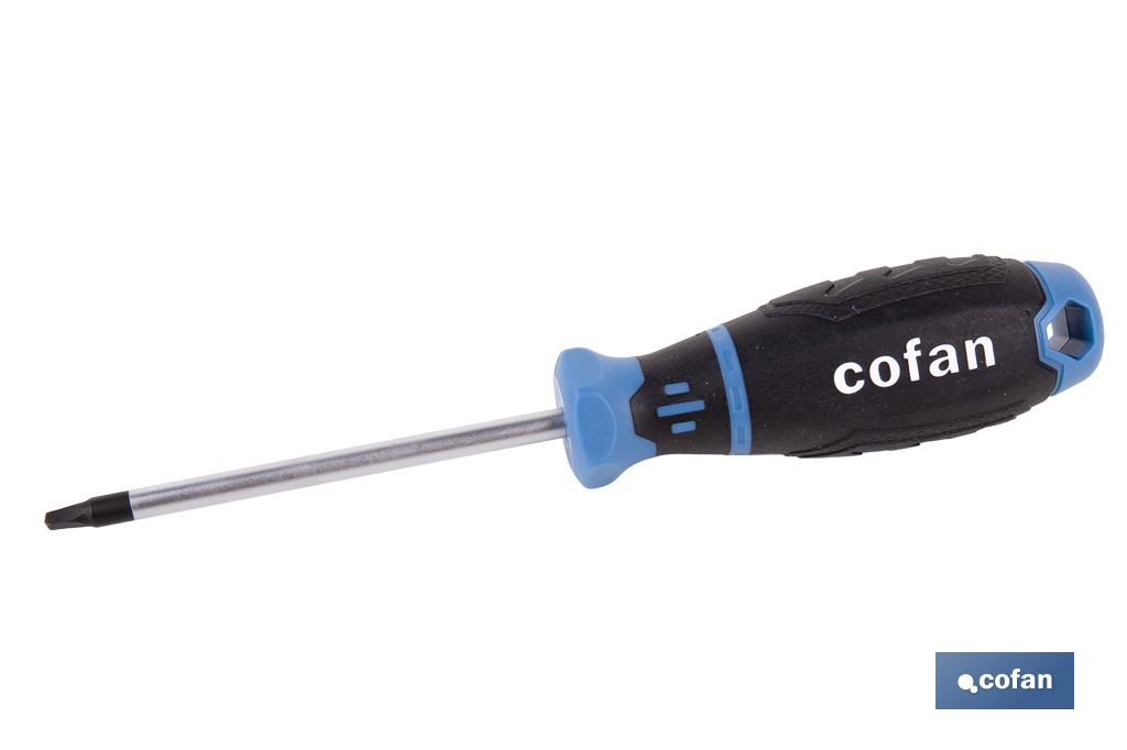 Destornillador Robertson R2 × 100 mm modelo Gripforce | Punta magnética y mango antideslizante - Cofan