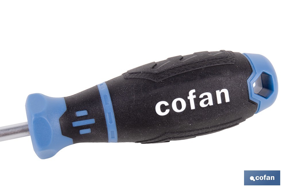 DESTORNILLADOR GRIPFORCE CR-V-MO SP4 X 100