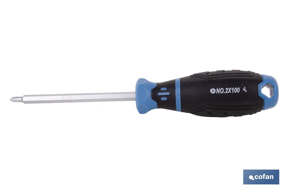 DESTORNILLADOR GRIPFORCE CR-V-MO TW2 X 100