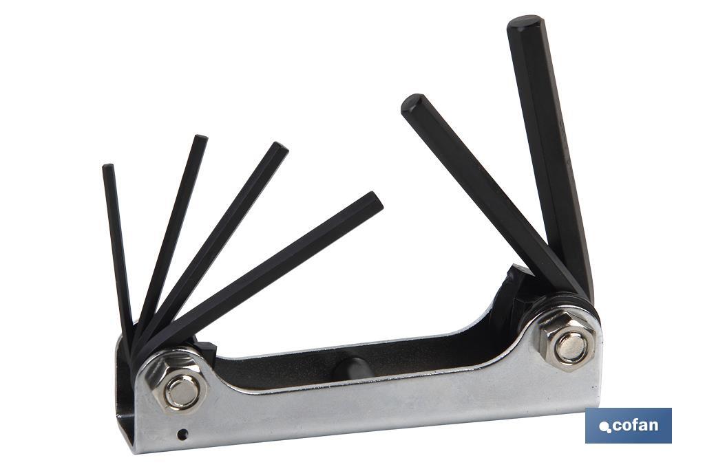 Set of hex keys | 6 pieces | Content: 2.5 - 3 - 4 - 5 - 6 - 8 - Cofan