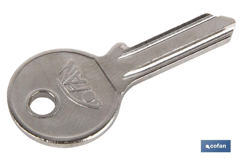 Virgen Key for Extra Long Arch Padlock - Cofan