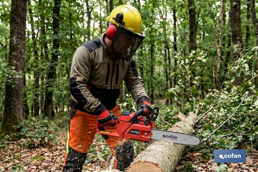 Kit forestal 4 en 1: casco con protección de rostro y oídos. Protección triple certificada. - Cofan