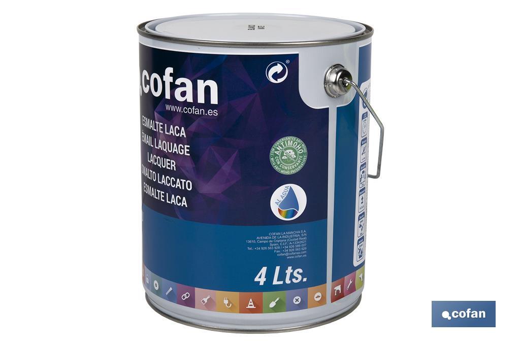 Water-based lacquer | Available in various colours | Paint buckets available in different sizes - Cofan