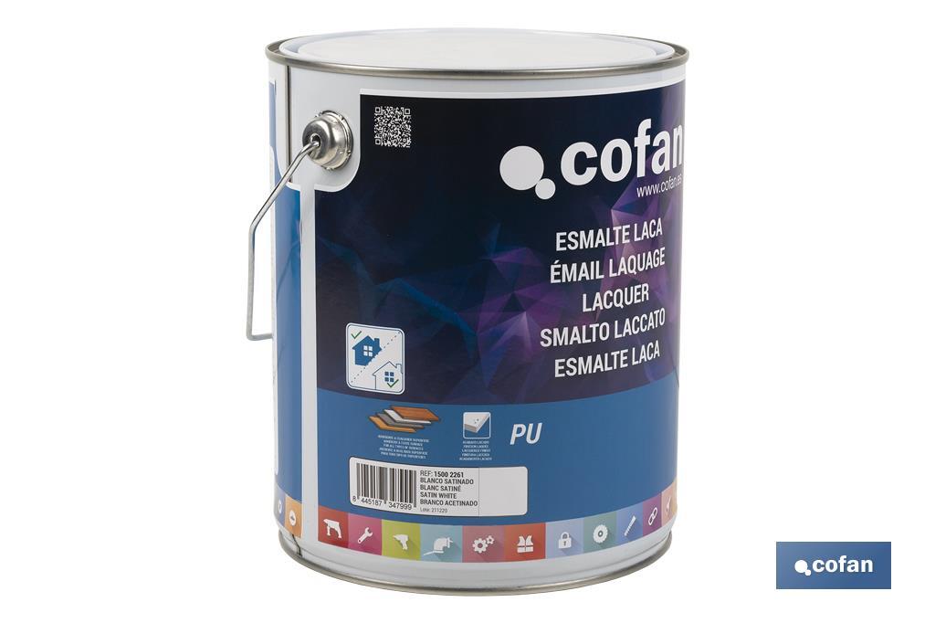 Water-based lacquer | Available in various colours | Paint buckets available in different sizes - Cofan