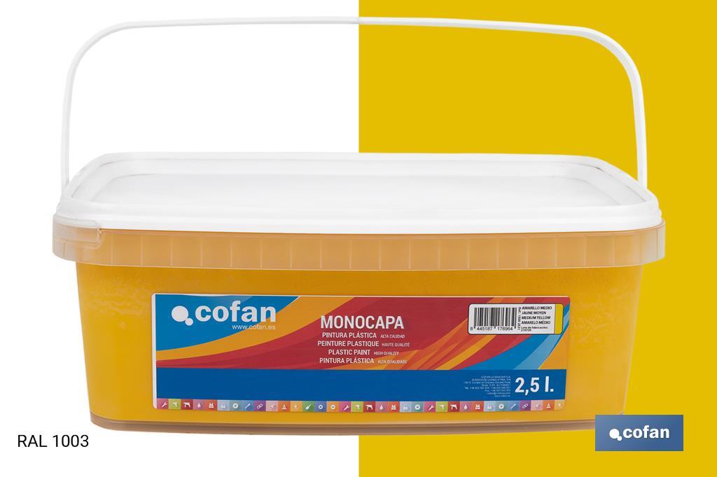 Pintura Plástica Monocapa | Diferentes colores  | Apta para usar en interior - Cofan