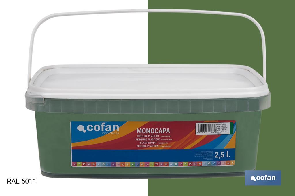 Pintura Plástica Monocapa | Diferentes colores  | Apta para usar en interior - Cofan