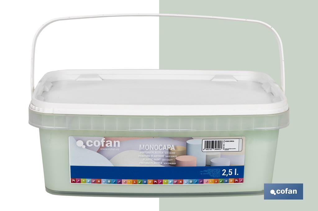 Pintura Plástica Monocapa | Diferentes colores  | Apta para usar en interior - Cofan