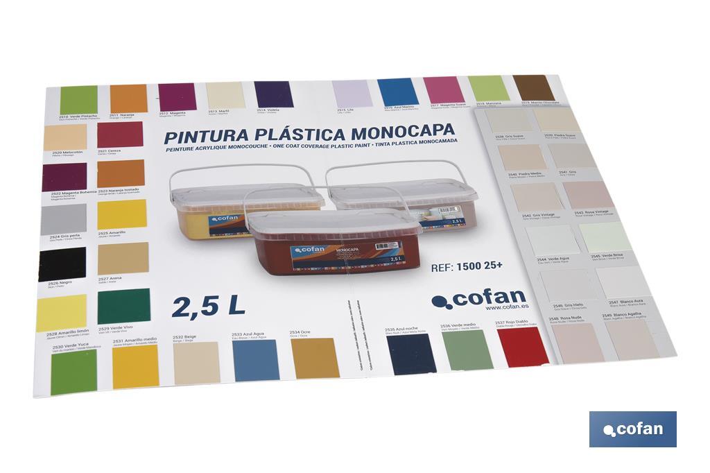 Carta de Colores para Pintura Plástica Monocapa con 40 Muestras de Color - Cofan