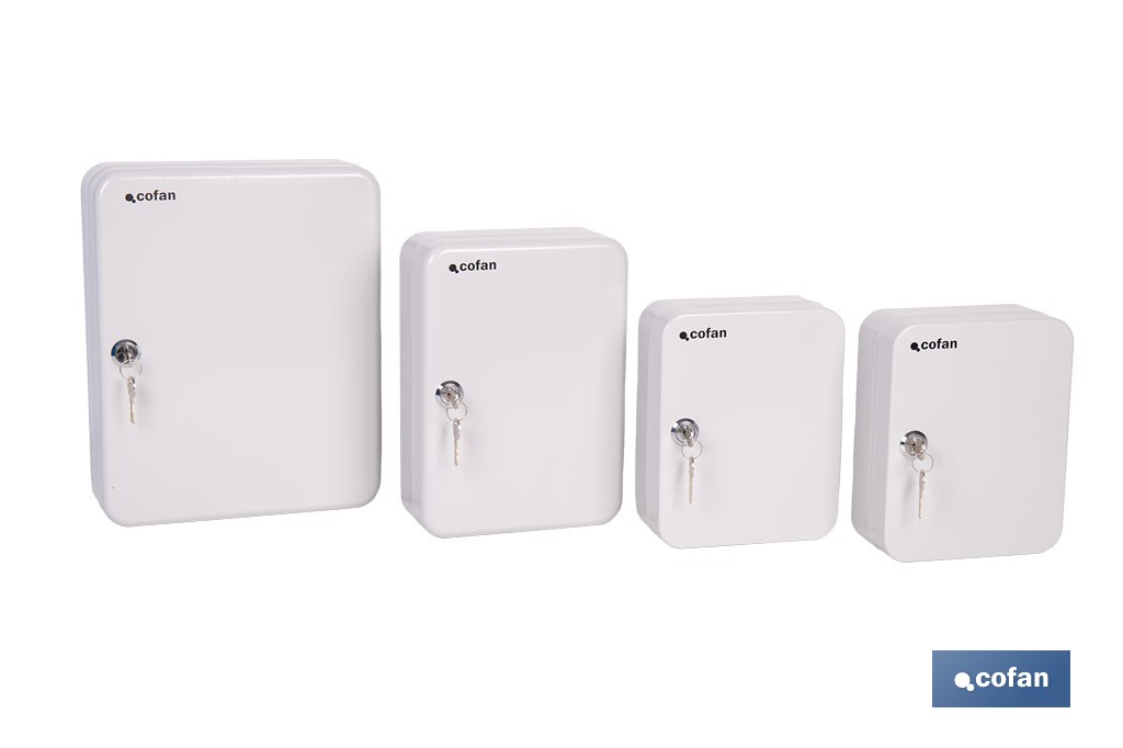Armario metálico para llaves con cerradura | Incluye 2 llaves y kit de fijación | Disponible para 20, 40, 60 y 80 llaves - Cofan