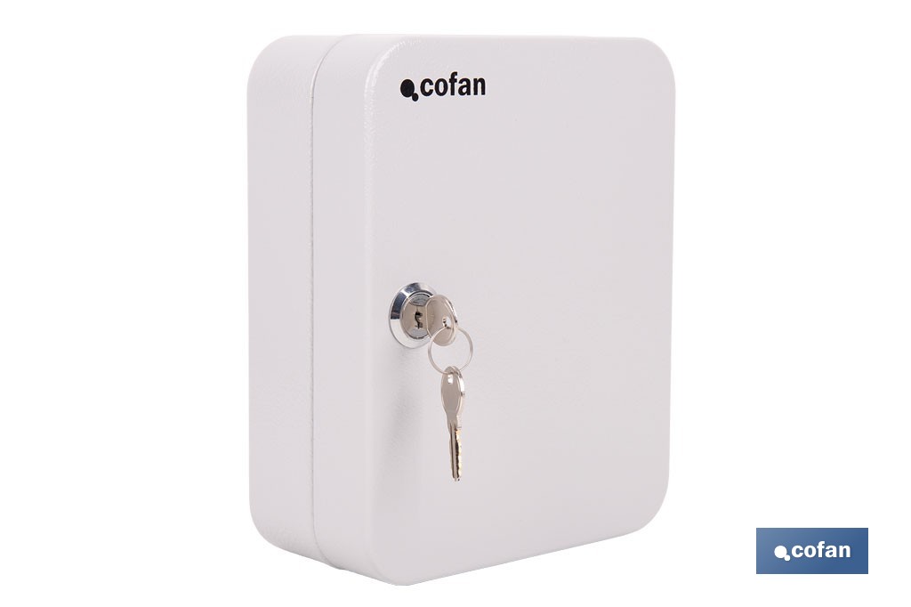 Armario metálico para llaves con cerradura | Incluye 2 llaves y kit de fijación | Disponible para 20, 40, 60 y 80 llaves - Cofan