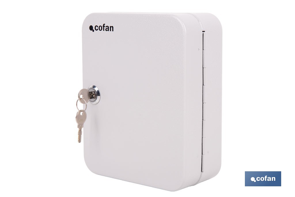 Armario metálico para llaves con cerradura | Incluye 2 llaves y kit de fijación | Disponible para 20, 40, 60 y 80 llaves - Cofan