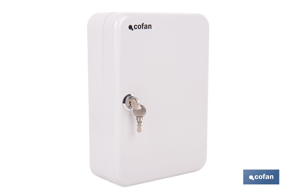 Armario metálico para llaves con cerradura | Incluye 2 llaves y kit de fijación | Disponible para 20, 40, 60 y 80 llaves - Cofan