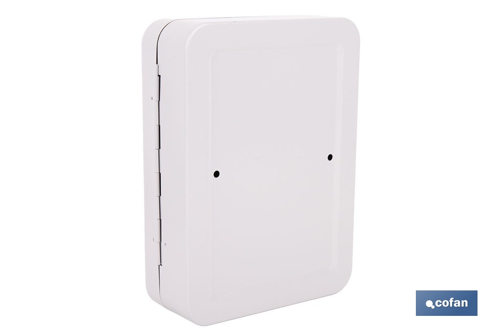 Armario metálico para llaves con cerradura | Incluye 2 llaves y kit de fijación | Disponible para 20, 40, 60 y 80 llaves - Cofan