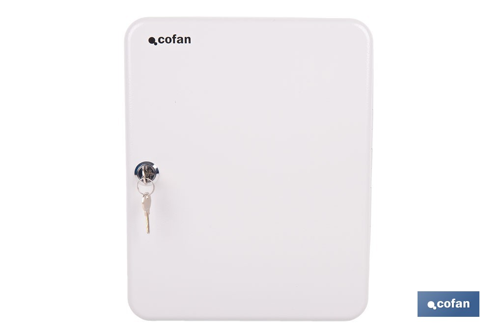 Armario metálico para llaves con cerradura | Incluye 2 llaves y kit de fijación | Disponible para 20, 40, 60 y 80 llaves - Cofan