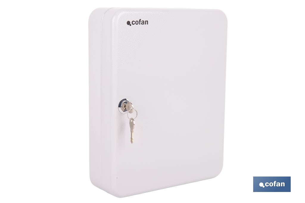 Armario metálico para llaves con cerradura | Incluye 2 llaves y kit de fijación | Disponible para 20, 40, 60 y 80 llaves - Cofan