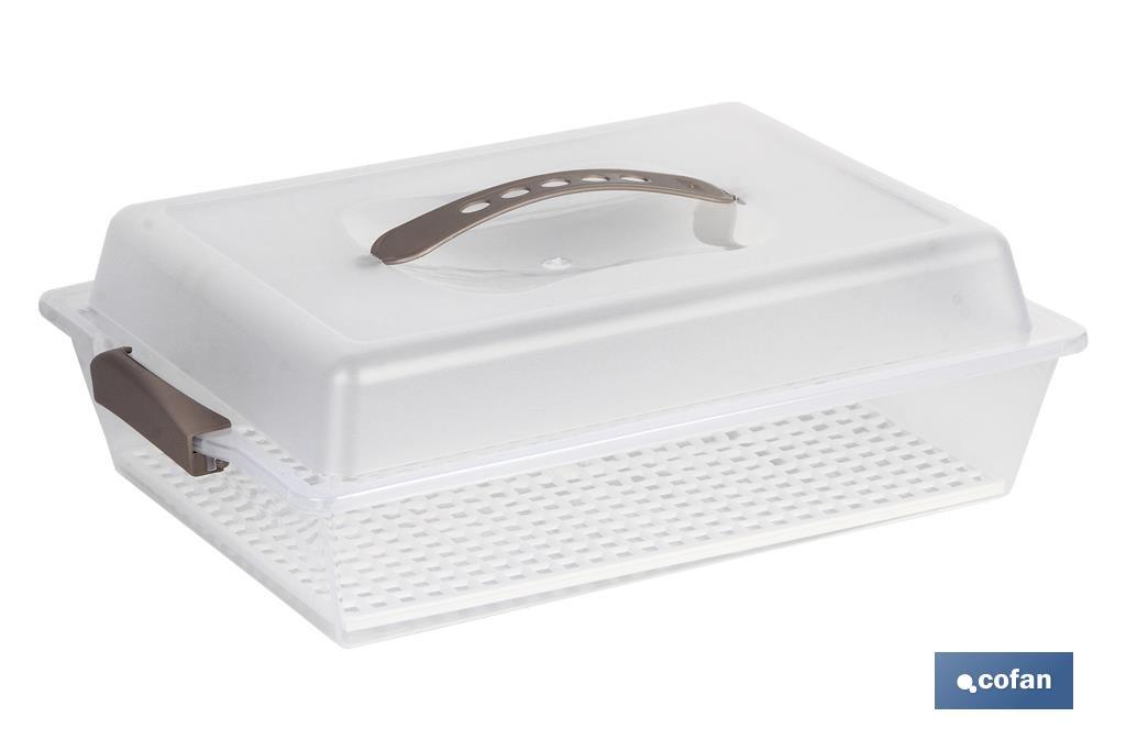 Rectangular cake carrier | Pavlova Model | Carry handle and lid included | Cream colour | Size: 38 x 28 x 13cm - Cofan
