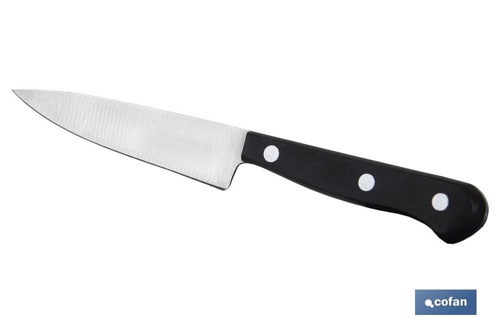 Utility knife | Saffron Model | Blade size: 10.5cm | Stainless-steel blade | Polyoxymethylene handle | Black - Cofan