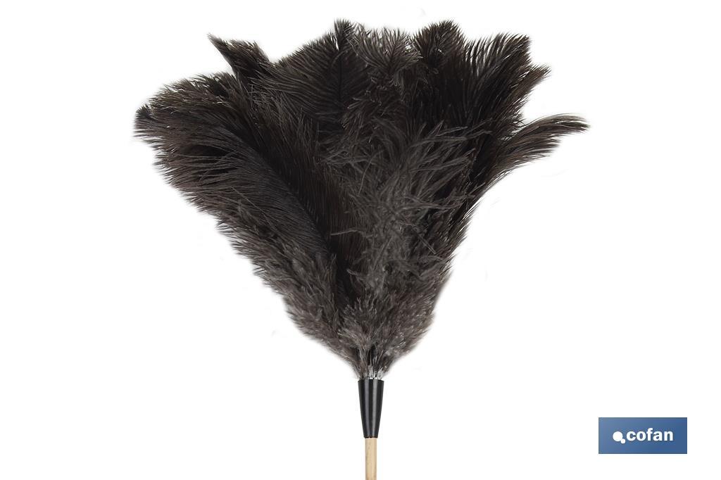 Ostrich Feather Duster & Wooden Handle - Cofan