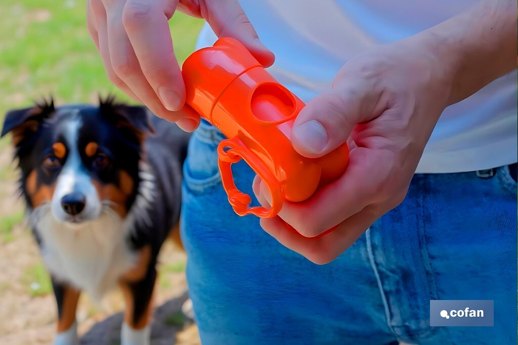 Set of Accessories for dogs | Box with 7 items | Pet accessories for everyday use - Cofan