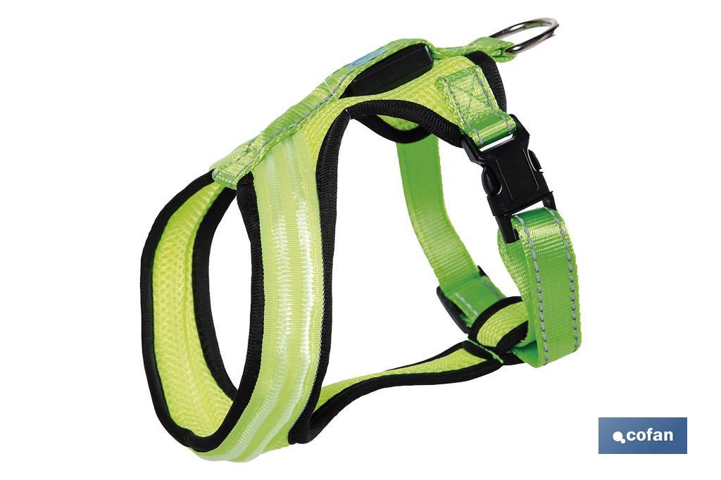 Reflective and illuminated harness with LED light | Three light intensities | Available in different sizes - Cofan