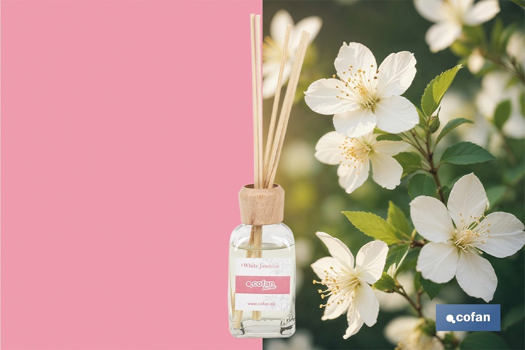 Reed diffuser | Aroma of jasmine | Rattan scent sticks - Cofan